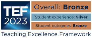 GBS TEF Bronze Award